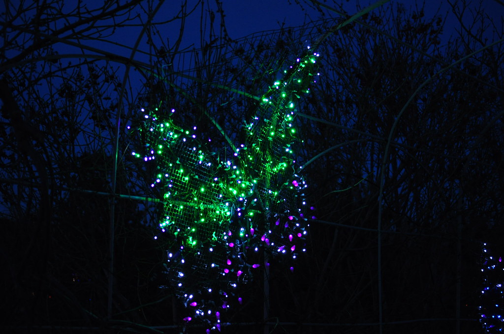 butterfly Holiday lights make me happy. And I love love l… Flickr