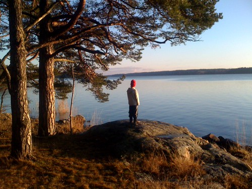 Var det nån som sa att november bara är grå och trist? Flickr
