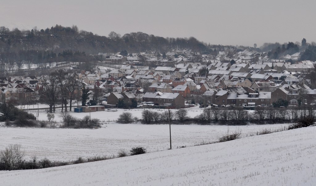 Cambusbarron, Stirling Scott McLean Flickr