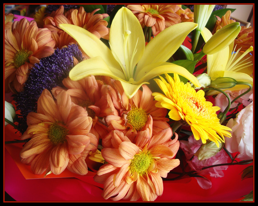 Farewell Flowers (day 15) Today was my last day of work af… Flickr