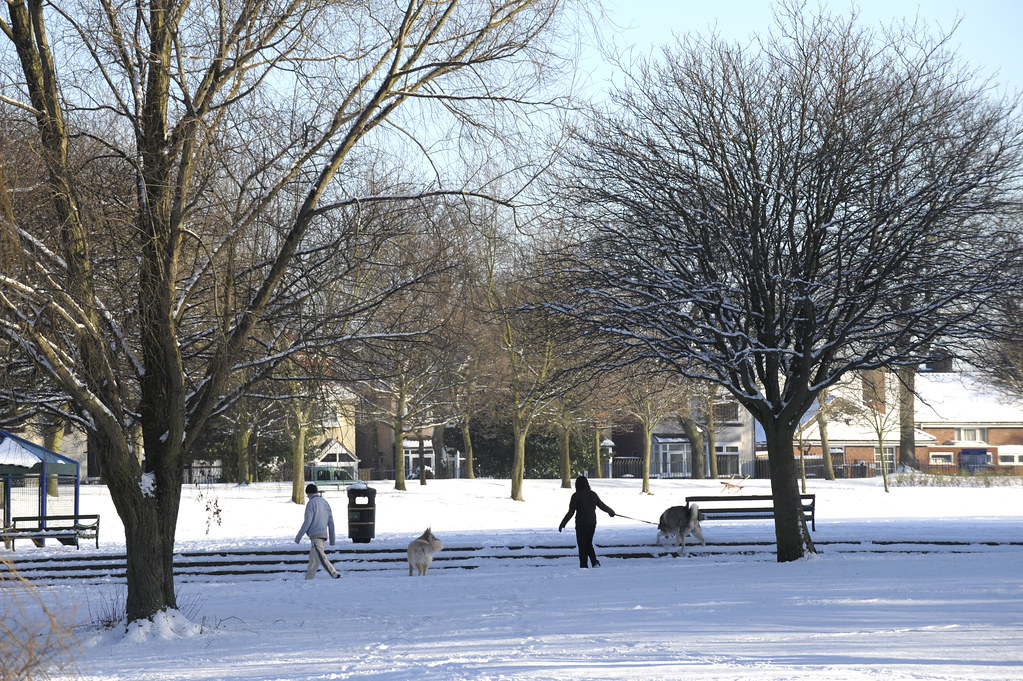Victoria Park, Tipton 070110_104 Sandwell Council Flickr