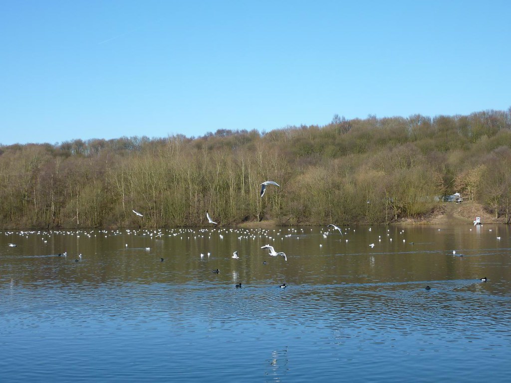 Clifton Country Park Swinton Paul Flickr