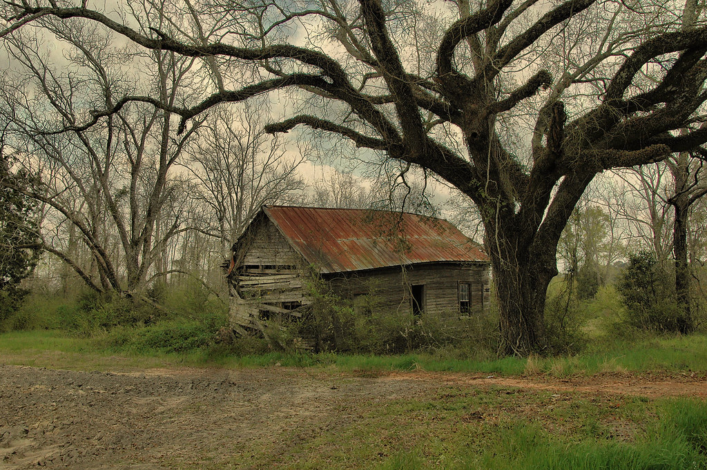 Silent Guardians Rowena, Early County GA (Best Viewed Larg… Brian