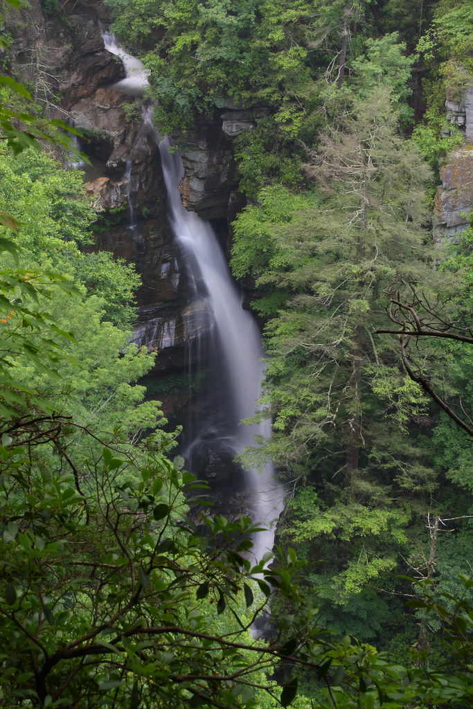 Elevation of White Oak Mountain Rd, Tryon, NC, USA Topographic Map