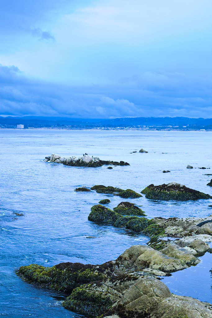 Monterey Coast after rainfalls rainy days summer trip... Flickr