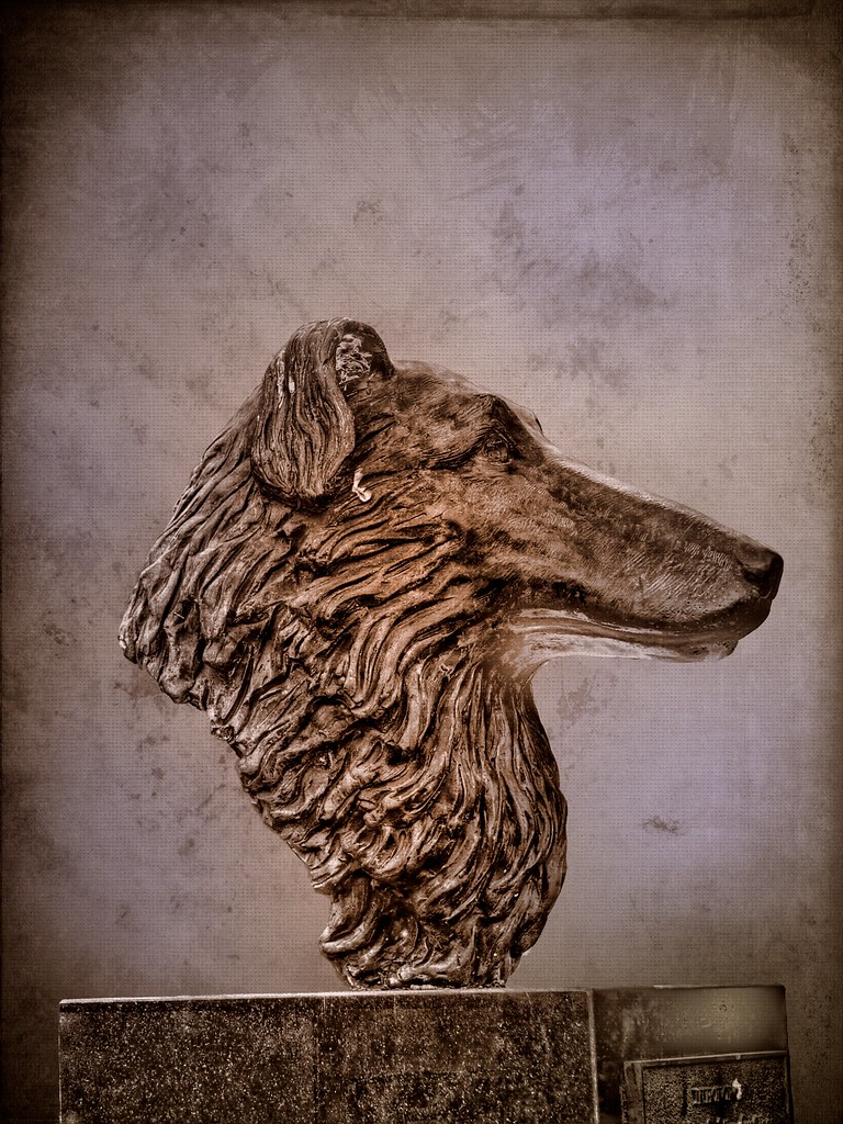 Dog Head A statue of the head of a dog at Oregon Gardens. … Flickr