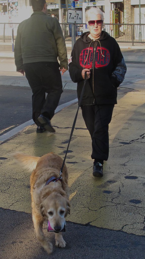 Melbourne In Melbourne dogs do their own shopping Velovotee Flickr