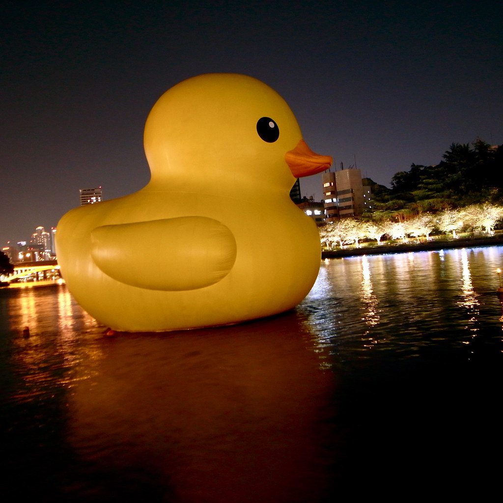 rubber ducky, you're the one Flickr