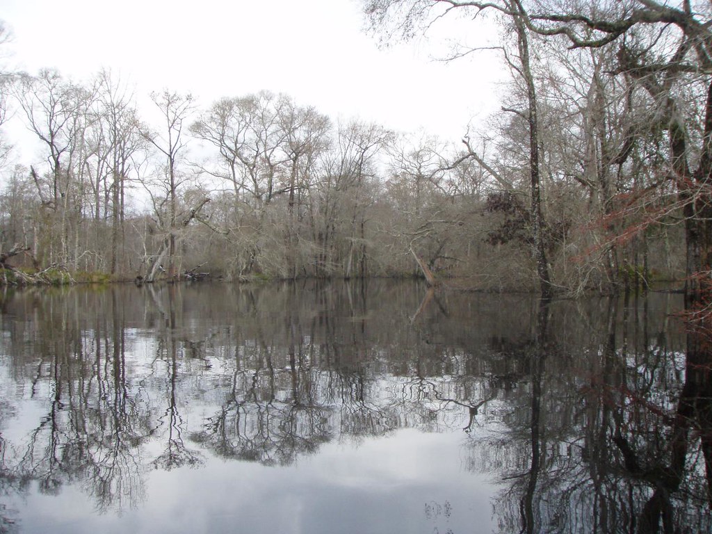Elevation of Brogdon Road, Brogdon Rd, Guyton, GA, USA Topographic