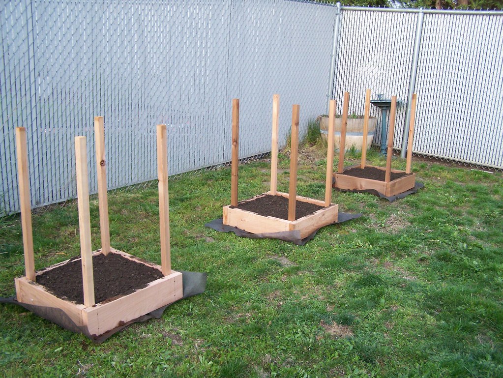 Completed Potato Boxes Buildasyougrow potato boxes. Pla… Flickr