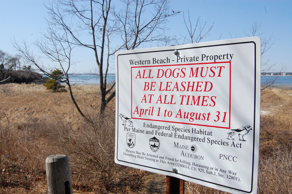 Dog Leash Law Rich Brooks Flickr