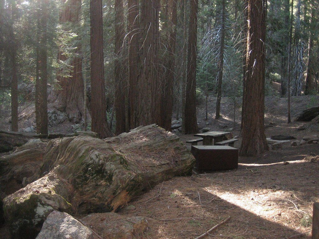 Frasier Mill Campground Mountain Home State Forest, CA Flickr