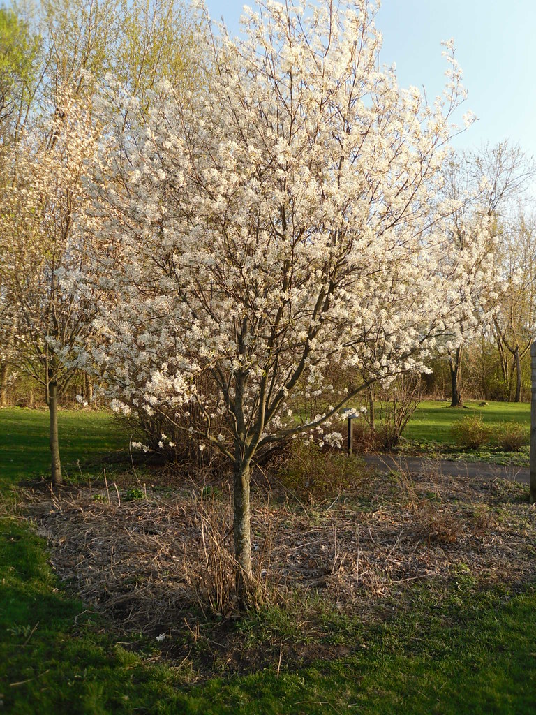 Schuyler Flatts Cultural Park Menands, New York Schuyler… Flickr