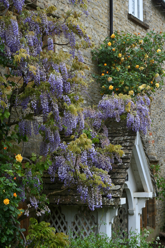 STEEPLE ASTON VILLAGE GARDENS LINDSEY RENTON Flickr