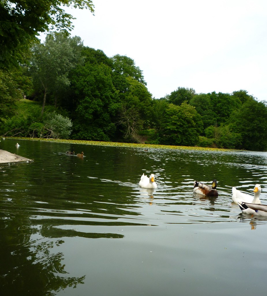 Domein Zevenbronnen, SintGenesiusRode a photo on Flickriver