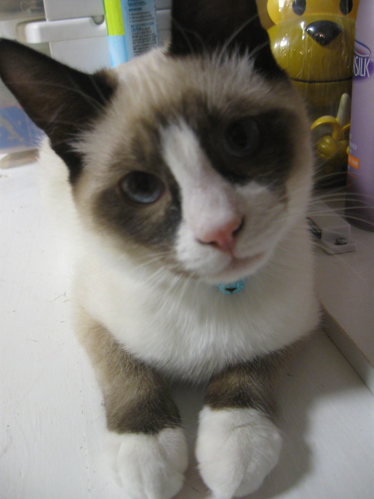 Baby Cae My baby Caelum...back at home with my ex gf. His … Flickr