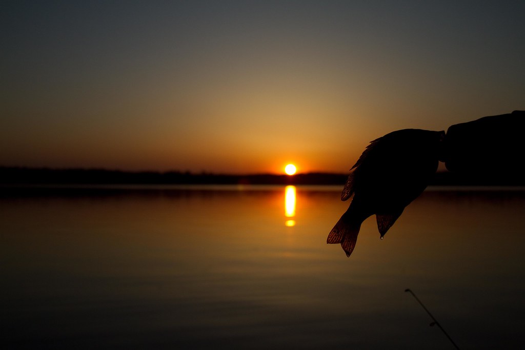 Sunset with Sunfish Lower Cullen Lake Chris.Hogan Flickr