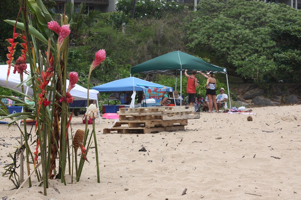 Horner Beach Party Kristin L Flickr