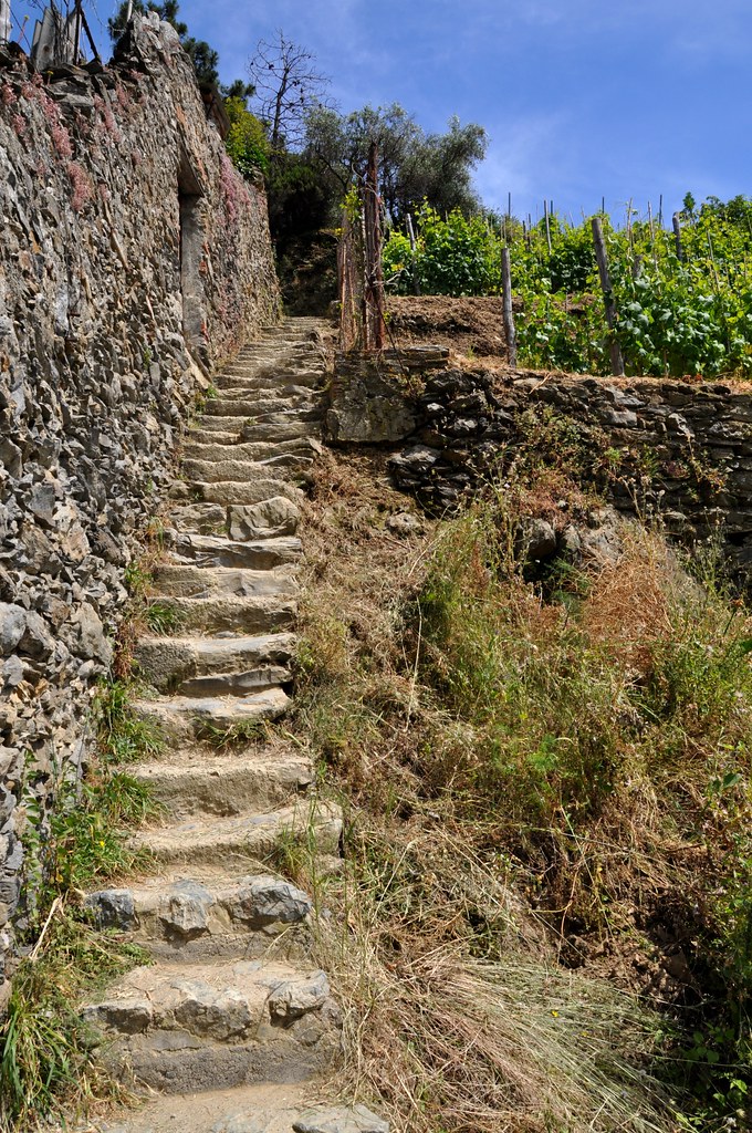 Cinque Terre Scenes along the hiking trail between Montero… Flickr