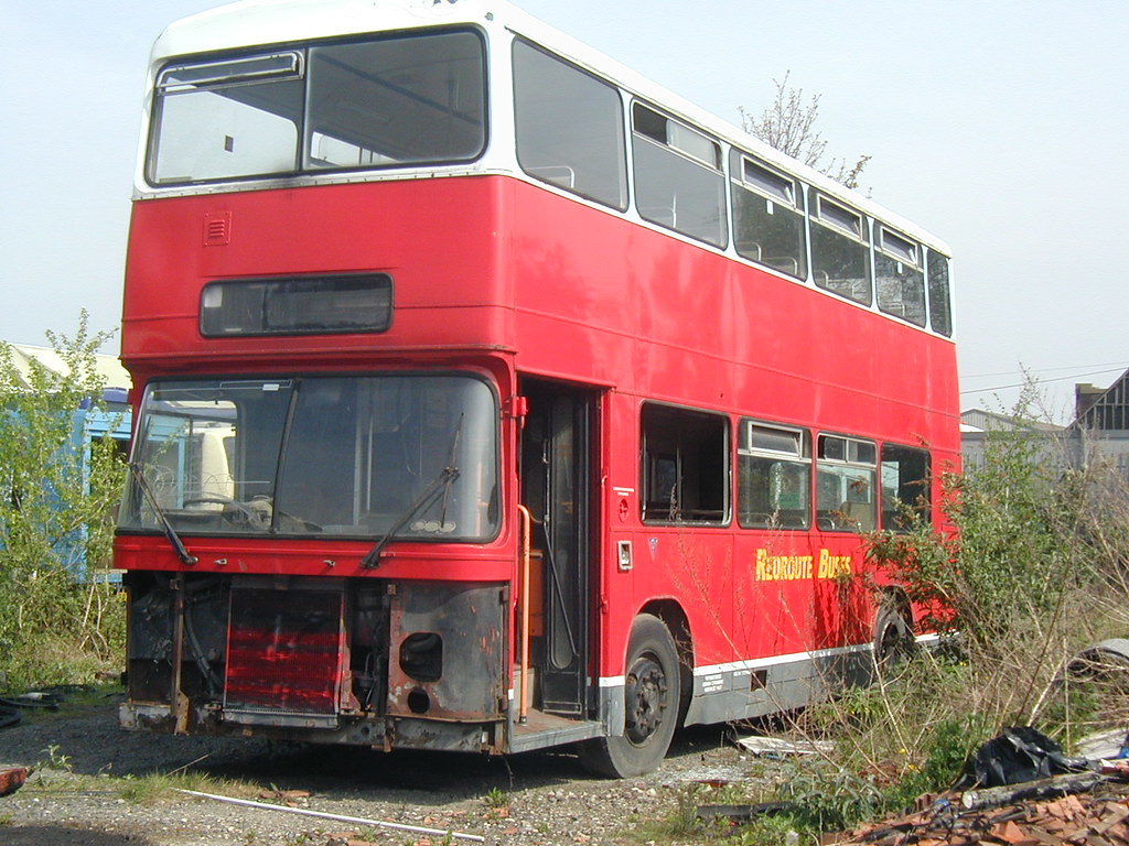 Dennis of the dump Looking rather sad and getting vanderli… Flickr
