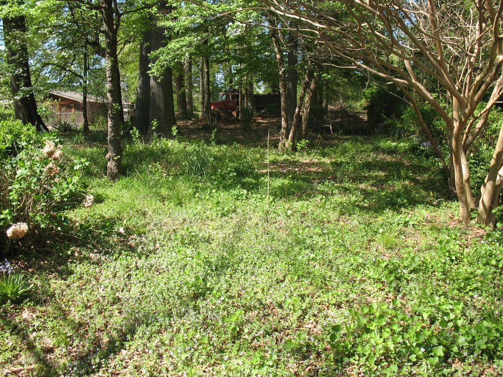 Before (5) 4721 springview rd. Charlotte, NC Thomas Williams Flickr