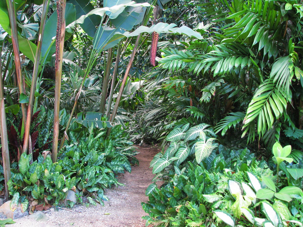 Tropical landscaping, Cairns Botanic Garden Flickr