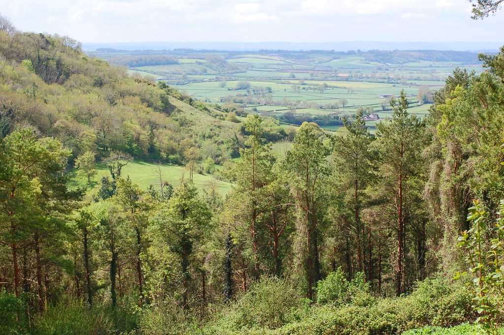Combe Hill view to west Photographed 03 May 2010. Flickr