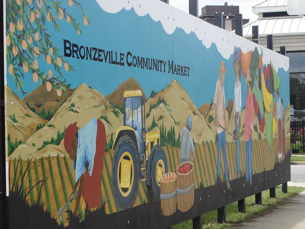 Bronzeville Community Market mural 4400 4500 S. Cottage G… Flickr
