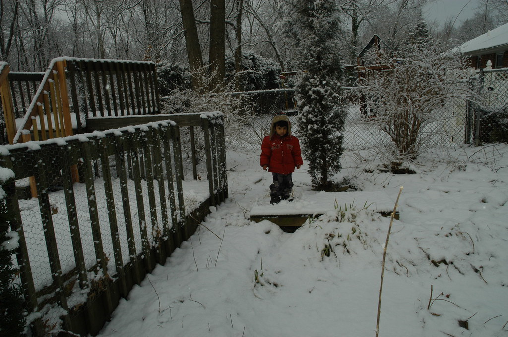 31 black oak ridge road 081 dorjoynesa Flickr