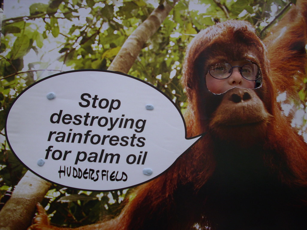 '"Stop Nestlé destroying rainforests for palm oil!" say th… Flickr