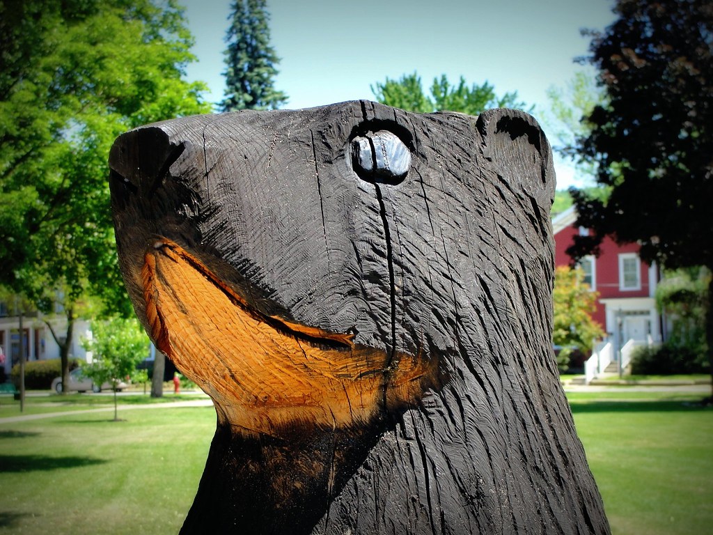 Pennsylvania Punxsutawney Carved groundhog In the city p… Flickr