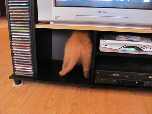 Penny's entertainment center cube Rick Burtzel Flickr