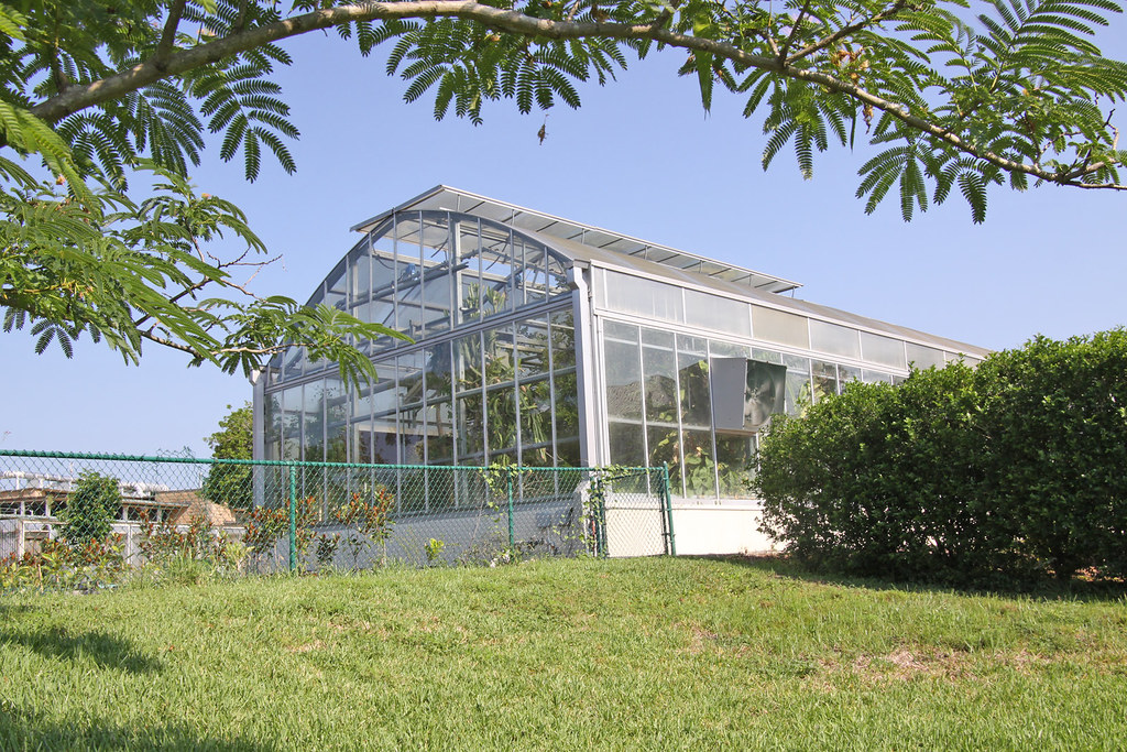 Greenhouse_15 Florida Southern Flickr