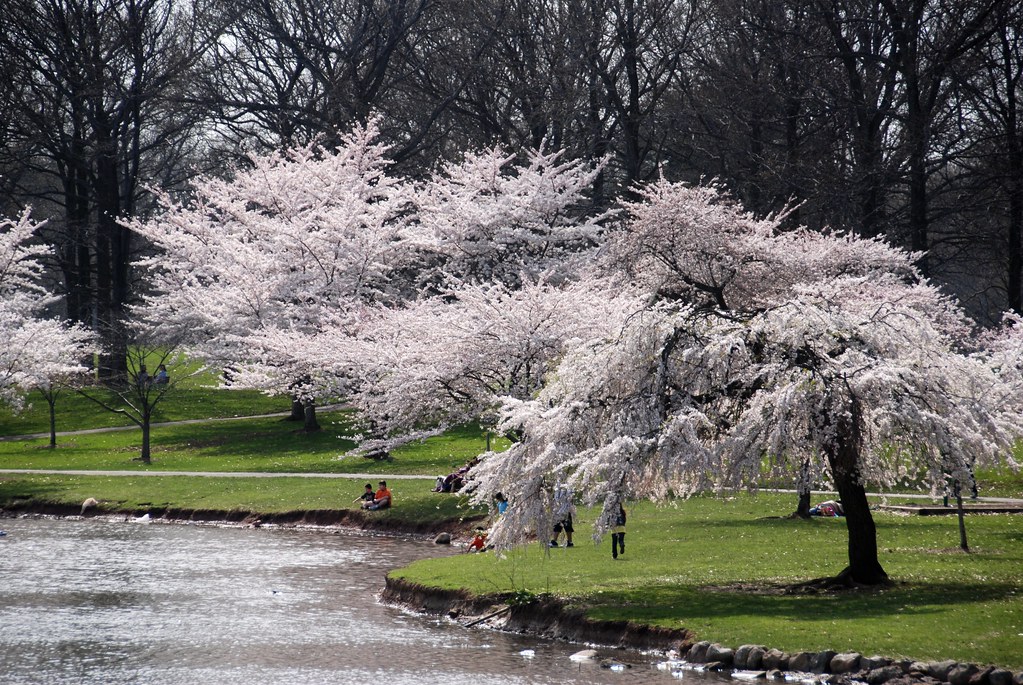 Warinanco Park 48 Union County, Warinanco Park, Roselle, N… Flickr