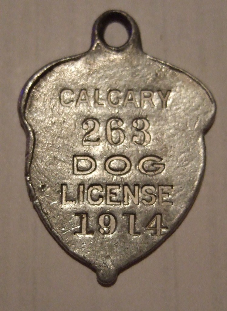 CALGARY, ALBERTA 1914 DOG LICENSE 263 Calgary dog tags… Flickr