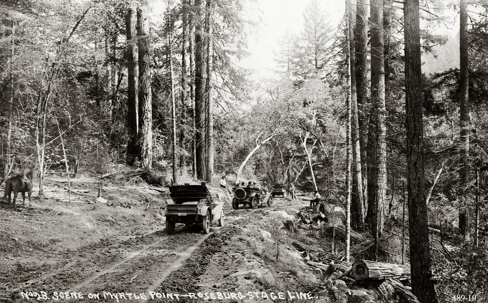 Myrtle Point Oregon Flickr
