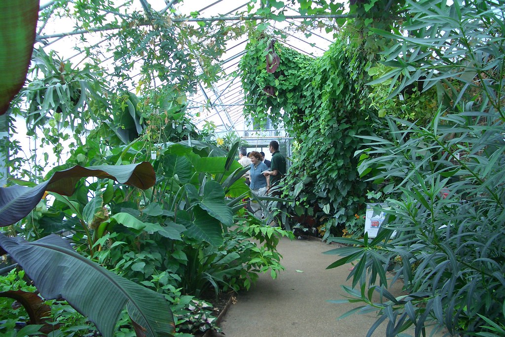 Golders Hill Park tropical butterfly house Hidden gem! EmBee5 Flickr