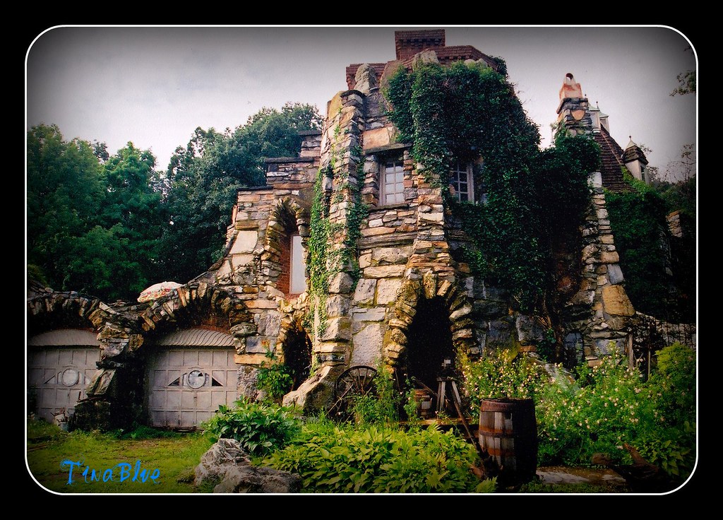 Wings Castle Tina Flickr