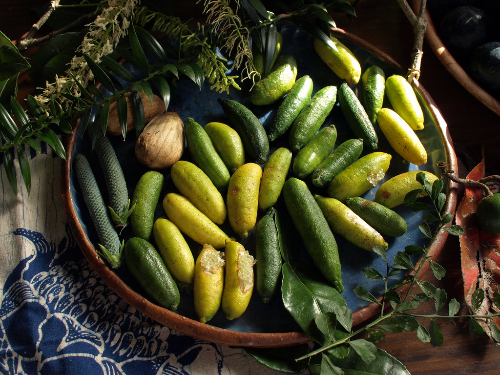 Bush Tucker Finger Limes Citrus australasica and Bunya Nut… Flickr