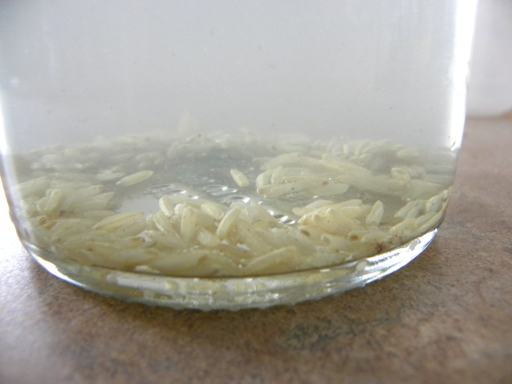 Rice in Bottle How do you clean a bottle? With rice! Christina