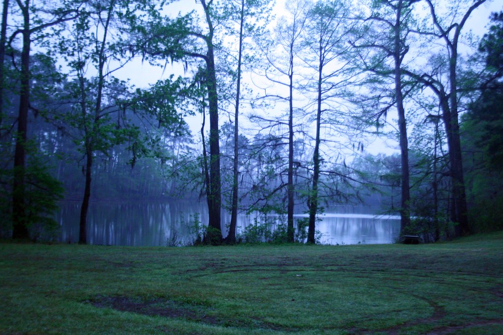 Bouton Lake This was the scene directly in front of our ca… Flickr