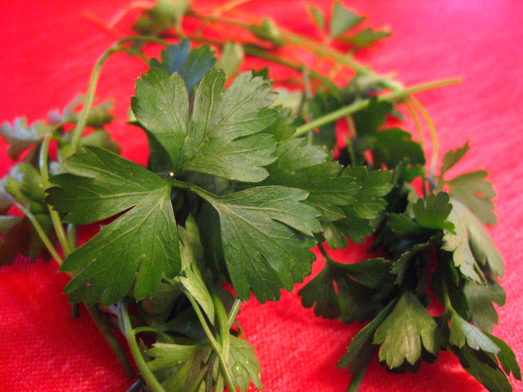 Italian Parsley Parsley is versatile and way underrated. B… Flickr