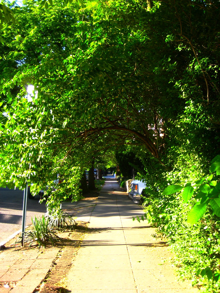 Seventeenth Street, NW Looking south along the west side o… Flickr