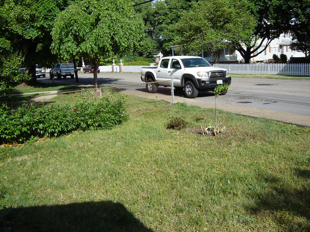 Mulch, Spring 2010 Flickr