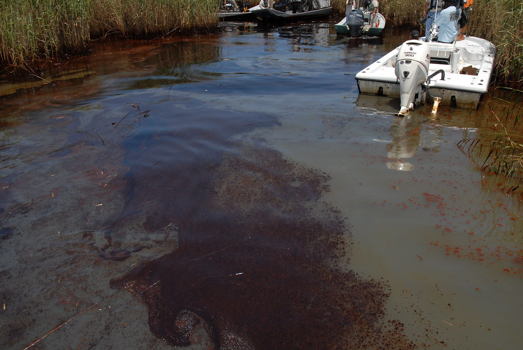 Oil Impacts PAL, May 19, 2010 Thick oil pools in the water… Flickr