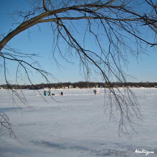 Ice fishing shacks near the mouth of the Ottawa River. Ca… Flickr