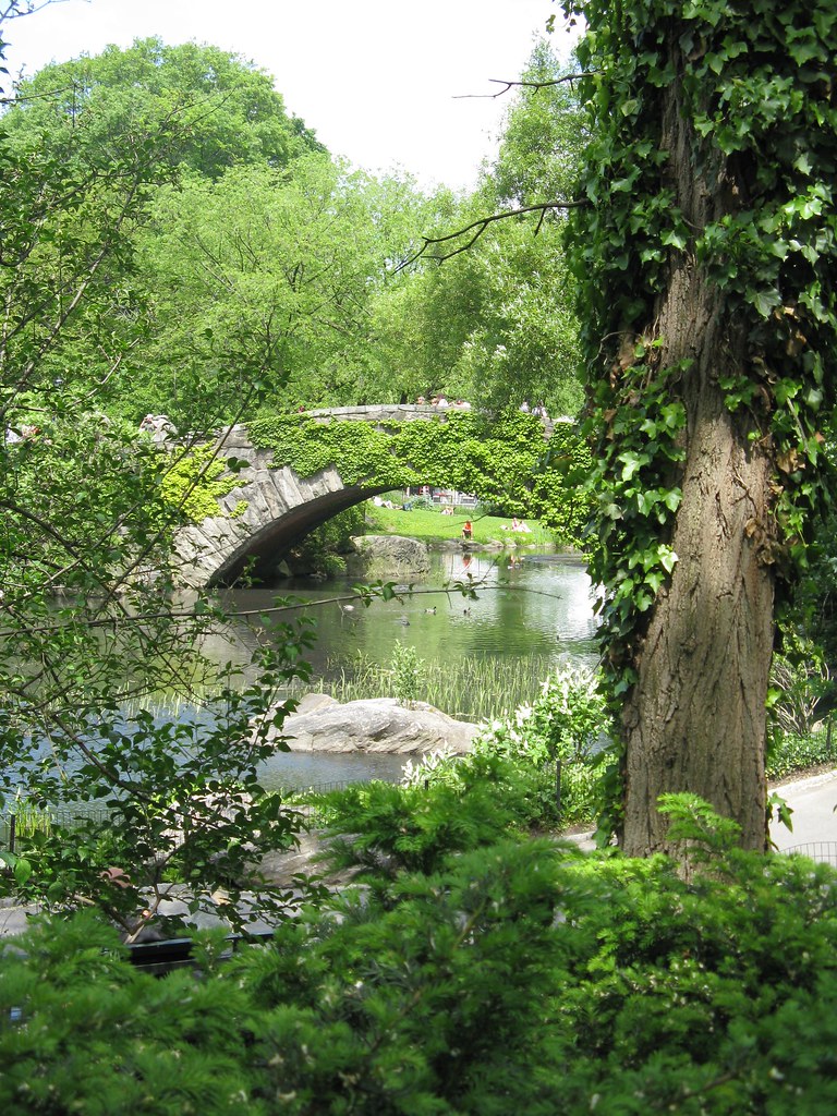 Central Park Carol Flickr