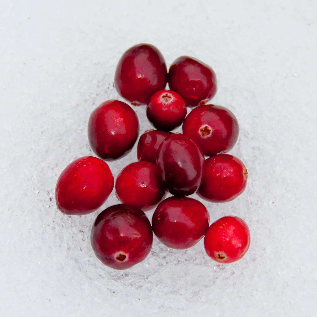 357/365 Frozen cranberries Richard Gillin Flickr