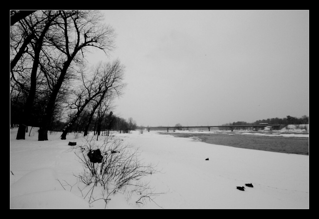 Saint François, Drummondville, QC unlogical feeling Flickr