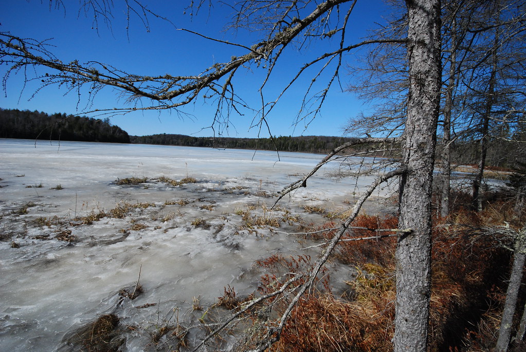 Frozen Pat Shay Lake VI Pat Shay Lake Wisconsin State Natu… Flickr